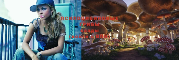 гидропоника Липки