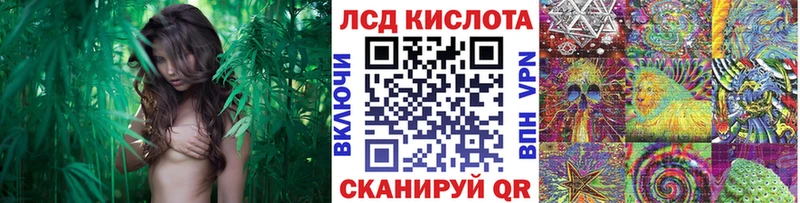 блэк спрут tor Дудинка Марки N-bome 1,8мг маркетплейс телеграм наркотики