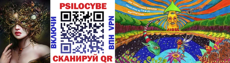 блэк спрут как зайти  Дудинка  Галлюциногенные грибы Magic Shrooms  купить  цена 